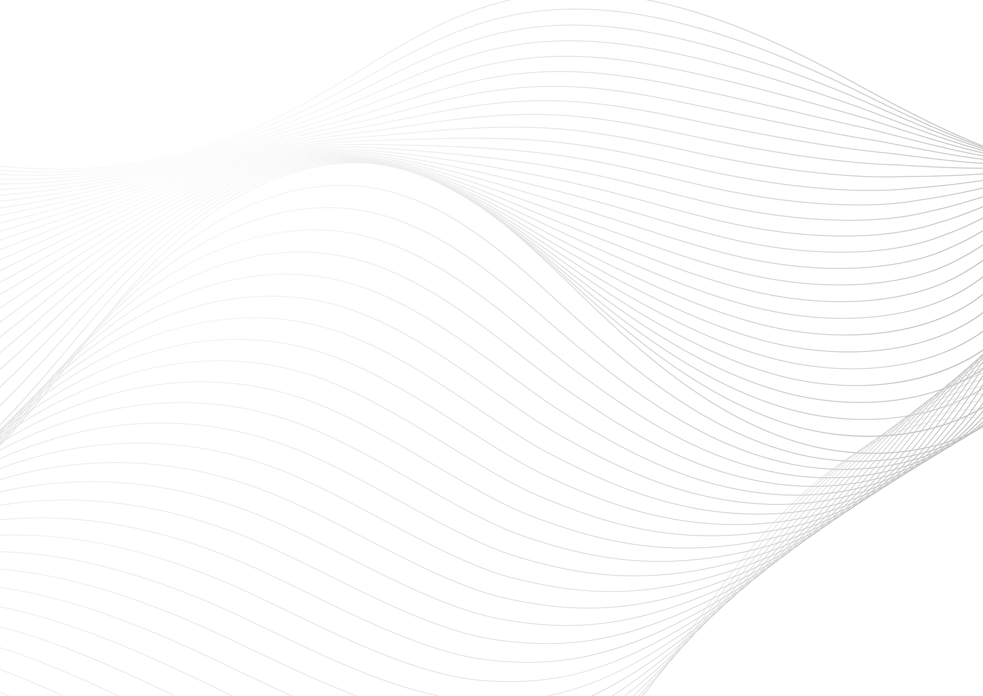 Web Site Tasarımcısı, Mucur