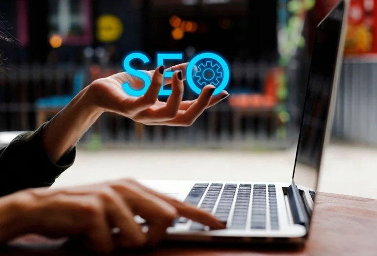 Mucur Web Site Tasarımcı